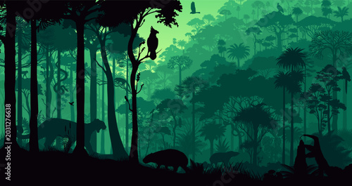 Photos Amazon Rainforest Jungle Background with Layered Forest with animals