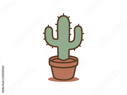 Cactus plant in a pot.