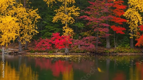 A serene lake reflects vibrant autumn trees in a peaceful forest landscape