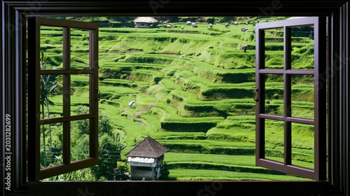 View of lush green rice terraces through an open window frame
