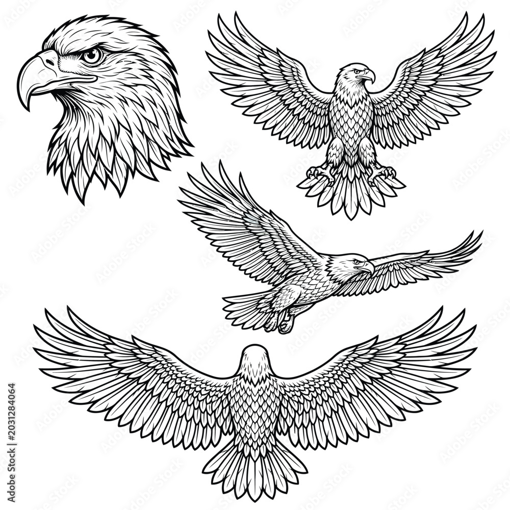 Obraz premium Detailed illustrations of eagle heads wings.