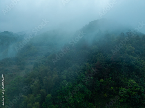 Canvas Print Dense green trees cover the mountains of Wangxian Valley in Jiangxi China as thi