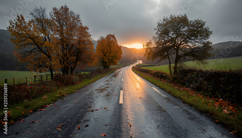 Rainy Country Road at Sunset in Autumn