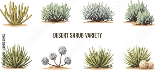 A digital illustration displaying eight distinct types of desert shrubs arranged in two rows against a plain light background