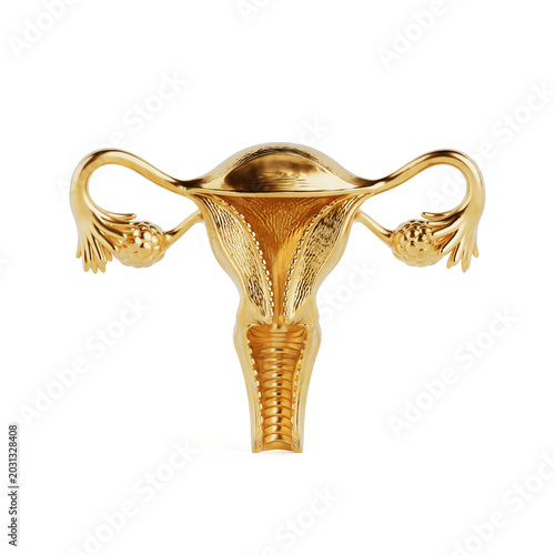 Reproductive Health And Female Anatomy. Golden Uterus With Ovaries And Fallopian Tubes For Gynecology And Fertility. 3D Rendering