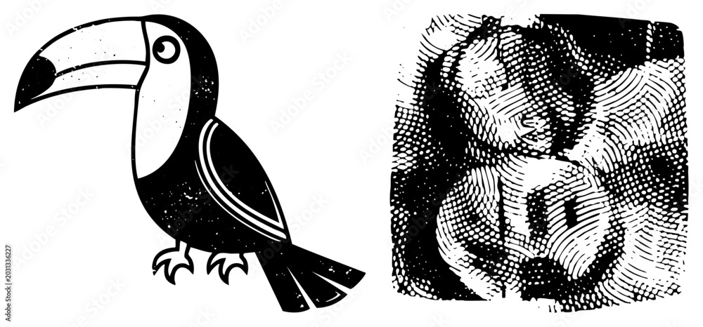 Obraz premium Stylized tropical toucan, often called a beak bird or jungle parrot, features a heavy halftone. This grainy woodcut style captures a wild jungle bird in high contrast black and white.