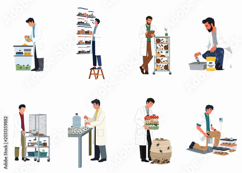Bild auf Leinwand Vector illustration set of scientists and entomologists conducting research and managing insect farming in a laboratory setting