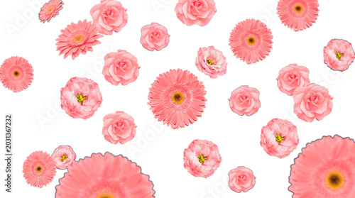 Fotografía Pink Gerbera daisies and delicate roses gracefully falling, creating a beautiful floral pattern on transparent