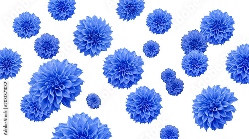 Slika na platnu Beautiful blue dahlia flowers gracefully floating, captured on a transparent background for creative design