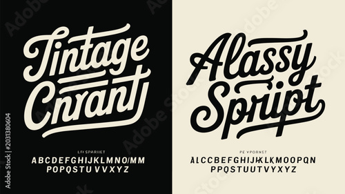 Bild auf Leinwand Vintage and classy script fonts with alphabet examples in black and white