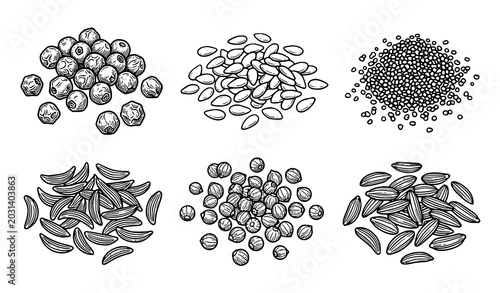 Foto Spices Line Art Vector Set with Black Pepper Sesame Poppy and Caraway Seeds