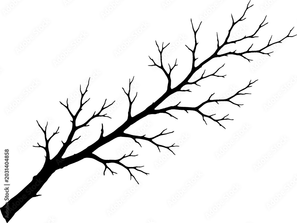 Fototapeta premium Tree Branch Silhouette