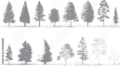 Quadro su tela Minimal tree and shrub vector outlines for site planning Landscape design vegeta
