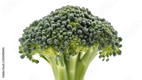 Tableau sur toile Fresh green broccoli florets with thick stalk, isolated on transparent backgroun