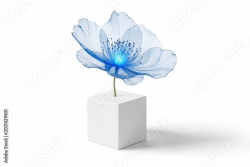 A sleek professional photo of a smooth white cube serving as a minimalist base for a single delicate glowing blue translucent flower botanical science concept elegant soft shadow play