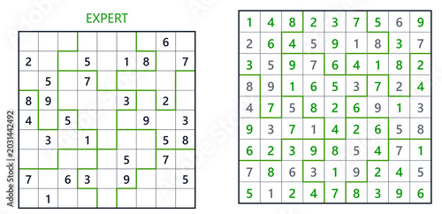 Expert Sudoku puzzles with grid layouts and numbers displayed  