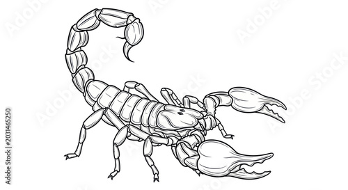 Fotografía Scorpion Illustration - Detailed Outline Drawing on White Background