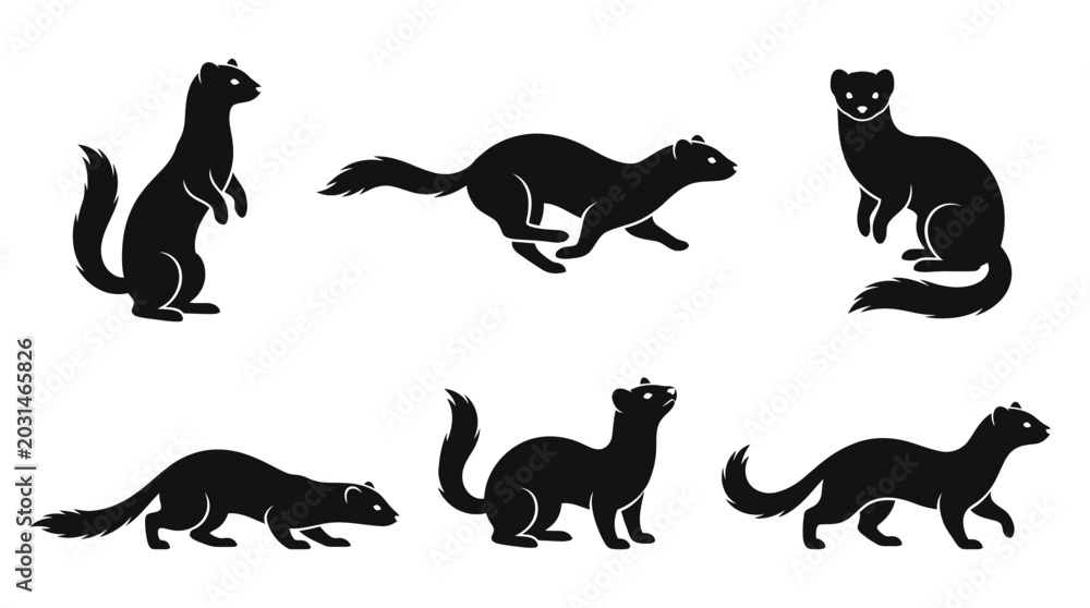 Obraz premium different black weasel silhouettes on a clean white background, minimalist vector style.