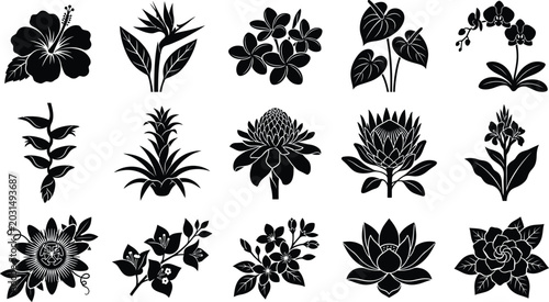 Bild auf Leinwand Collection of black silhouette tropical and exotic flowers and plants on white b