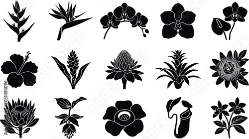 Foto Collection of black silhouette tropical flowers and plants on white background,