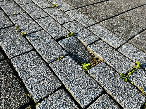 Granite pavers, weeds, subsidence, danger