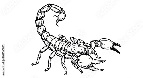 Foto Scorpion Illustration, Arachnid Line Art Drawing, Black and White