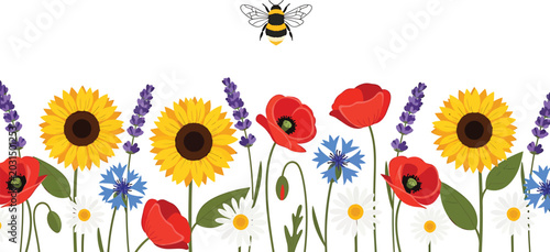 Wildflower garden border with sunflowers poppies lavender and daisies featuring a bumblebee flying above on white background vector illustration