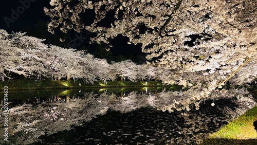 Quadro su tela cherry blossom