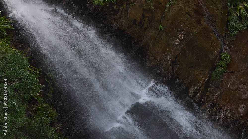 Obraz premium Coomera Falls Cascading Down Dark Rocks in Lamington National Park Rainforest