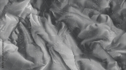 Konstfotografi A detailed close-up view of wrinkled fabric texture with smooth transparent back