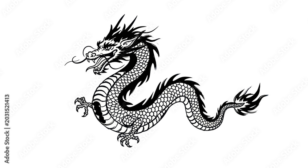 Fototapeta premium Traditional Chinese Dragon Illustration - Black and White