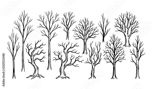 Leafless Tree Silhouettes Set