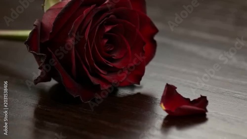 a wilted red rose that fell on the floor