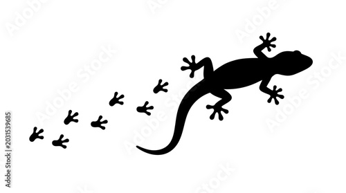 Photos Distinctive Black Gecko Silhouette Tracking a Path of Tiny Footprints