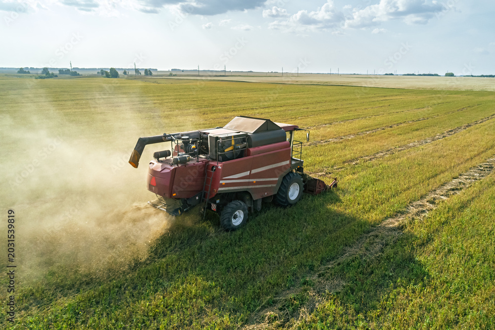 Fototapeta premium Aerial view captures combine harvester working in a vast agricultural field during a sunny daytime harvest, kicking up dust