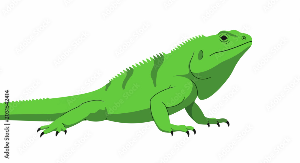 Fototapeta premium A brightly colored green reptile with a spiky dorsal crest and sharp claws on its feet