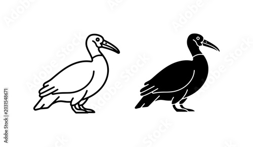 Foto Ibis Bird Vector Icons: Black and White, Simple Line Art Wildlife