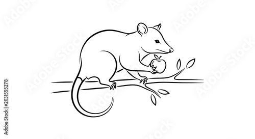 Line Art Drawing of a Possum Holding an Apple on a Branch
