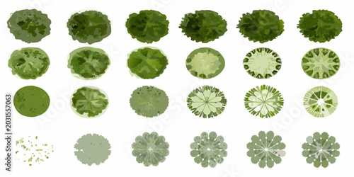 Cuadro en lienzo Collection of various green tree canopies top down aerial view isolated on white