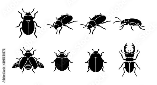 Bild auf Leinwand Insect Silhouettes Collection, Beetle Icons Set, Vector Bug Graphics, Entomology