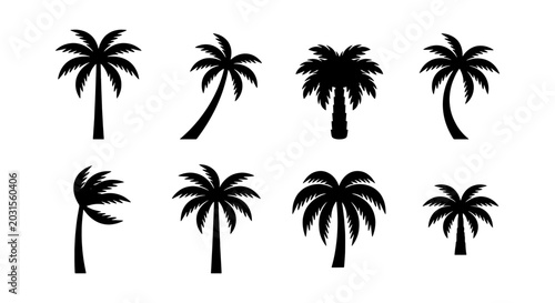 Tropical palm tree silhouettes, 8 black vector icons, exotic beach plants