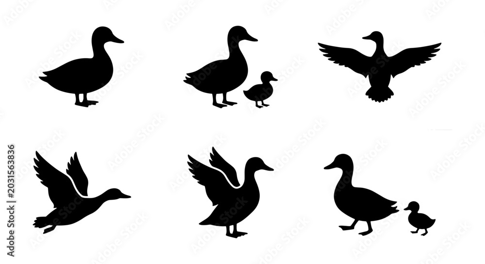 Fototapeta premium Duck Silhouettes Collection, Bird Icons, Wildlife Graphics, Animal Vector Set