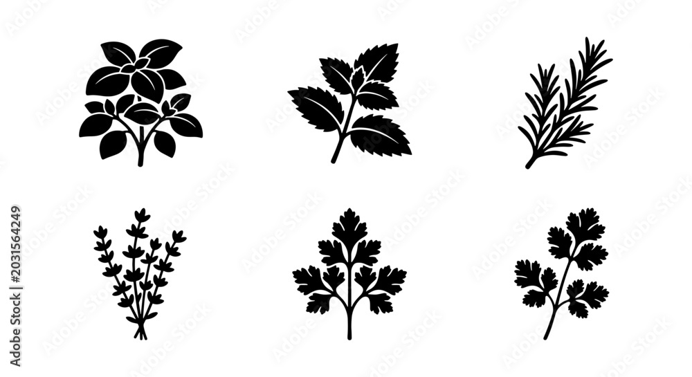Fototapeta premium Herbs Vector Icons: Basil, Mint, Rosemary, Thyme, Parsley, Cilantro