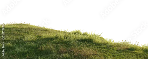 Panel kuchenny z motywem Hills with grass on a transparent background. 3D rendering.  