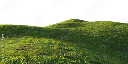Fotografie Rolling grassy hill terrain isolated on transparent background for landscape and environment design asset