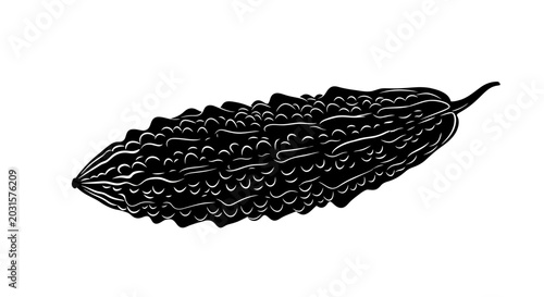 Φωτογραφία Close up of a detailed black silhouette of a bitter melon or bitter gourd with t