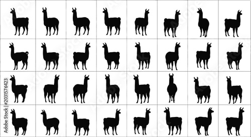 Bild auf Leinwand Collection of black llama silhouettes in various poses on white background
