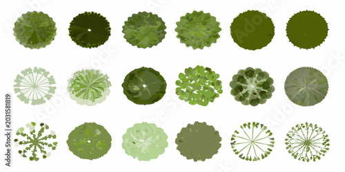 Foto Collection of aerial view tree canopies stylized vector illustration on a white