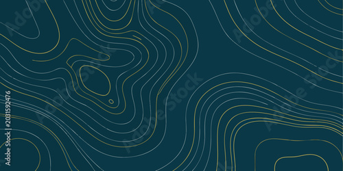 Canvastavla abstract topographic map design with flowing golden lines on dark teal backgroun
