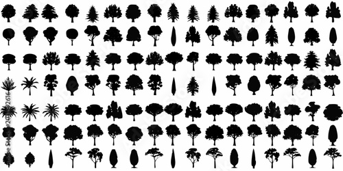 Collection of black tree silhouettes on a white background various shapes and species